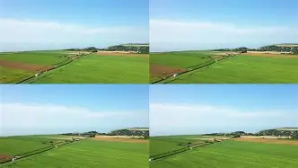 摩纳哥客场告负，继续陷入法甲悬崖边缘